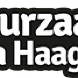 logo Duurzaam Den Haag