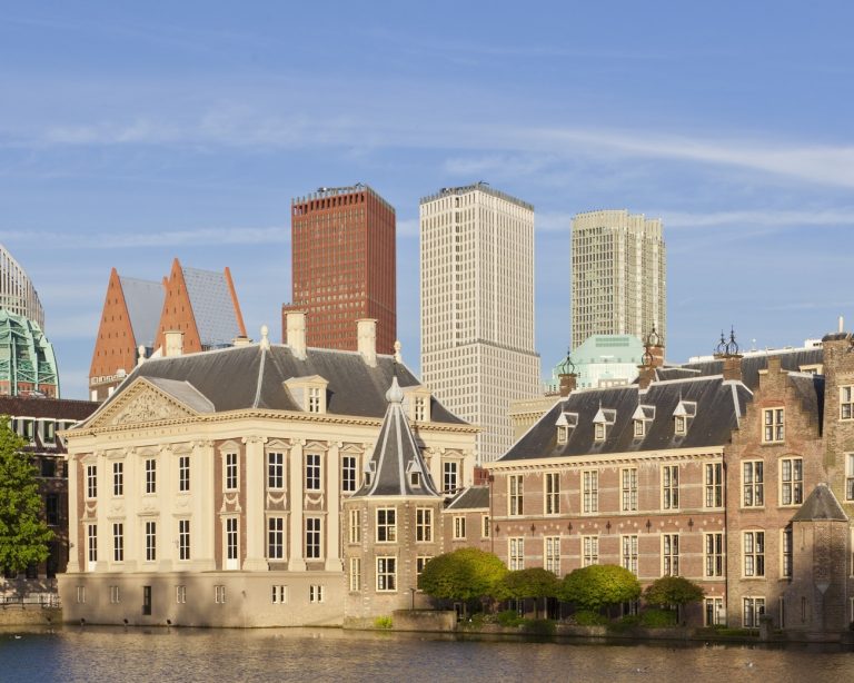 Skyline Den Haag vanaf de hofvijver